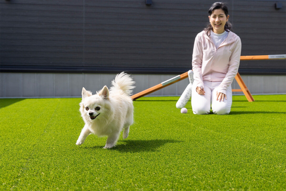 写真：併設されているドッグラン