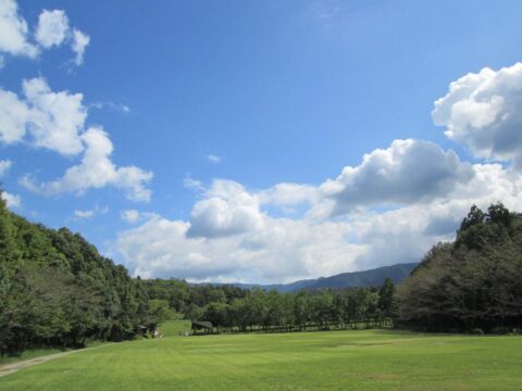 満濃森林公園の写真